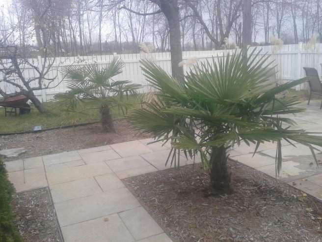 Pavé-uni et murets - Grand Montréal