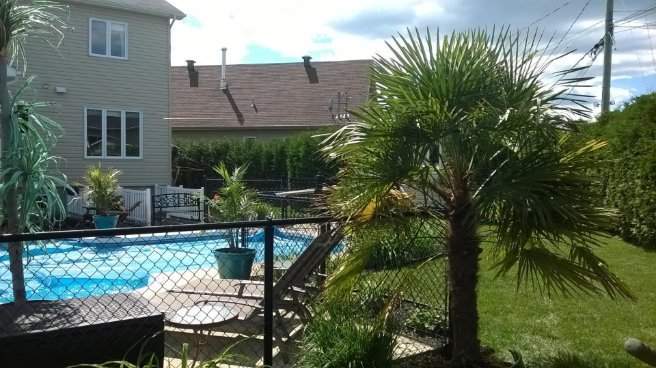 Aménagements tropicaux – Grand Montréal