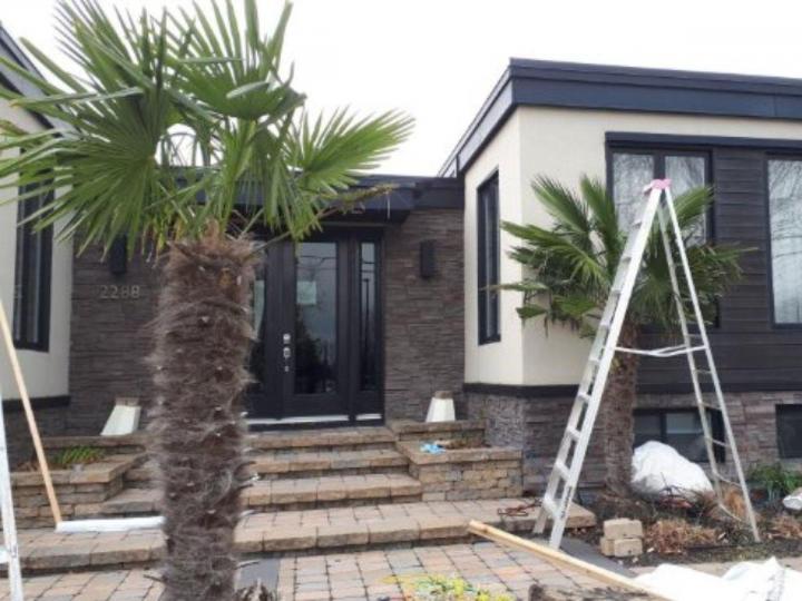 Location de palmiers Grand Montréal