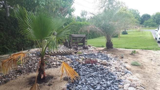 Aménagements tropicaux – Grand Montréal