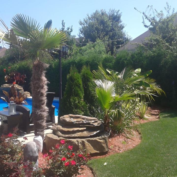 Nous vendons des plantes tropicales.