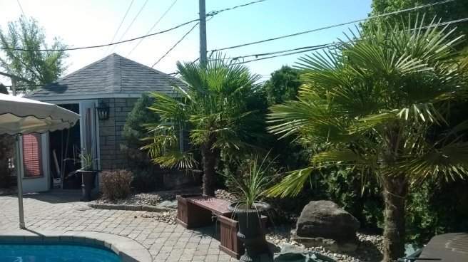 Aménagements tropicaux – Grand Montréal