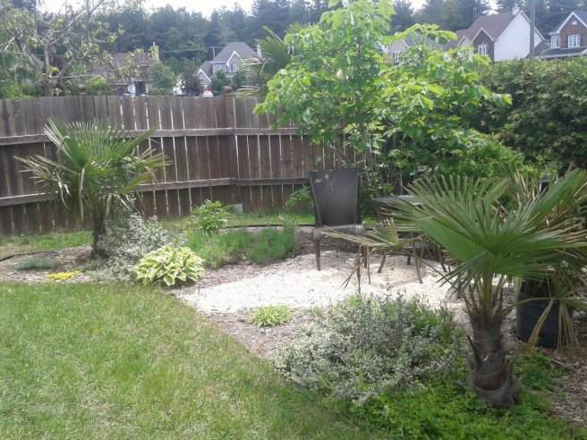 Aménagements tropicaux – Grand Montréal