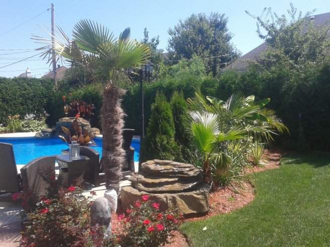 Aménagements tropicaux – Grand Montréal