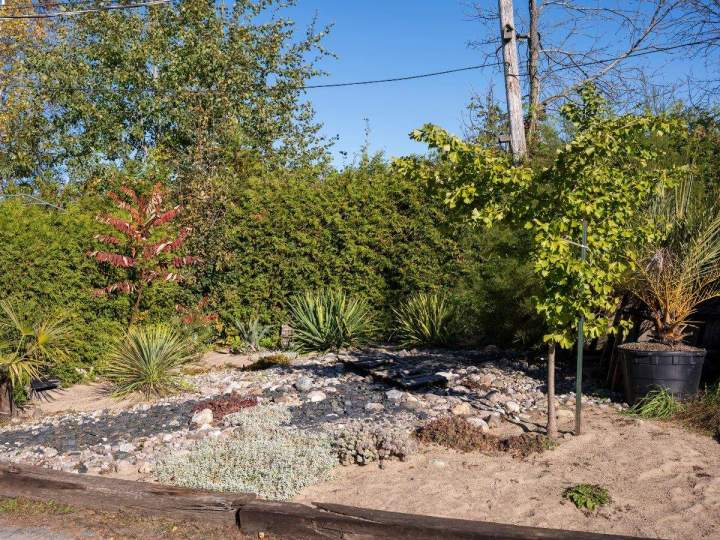 Vendeur de palmiers Grand Montréal