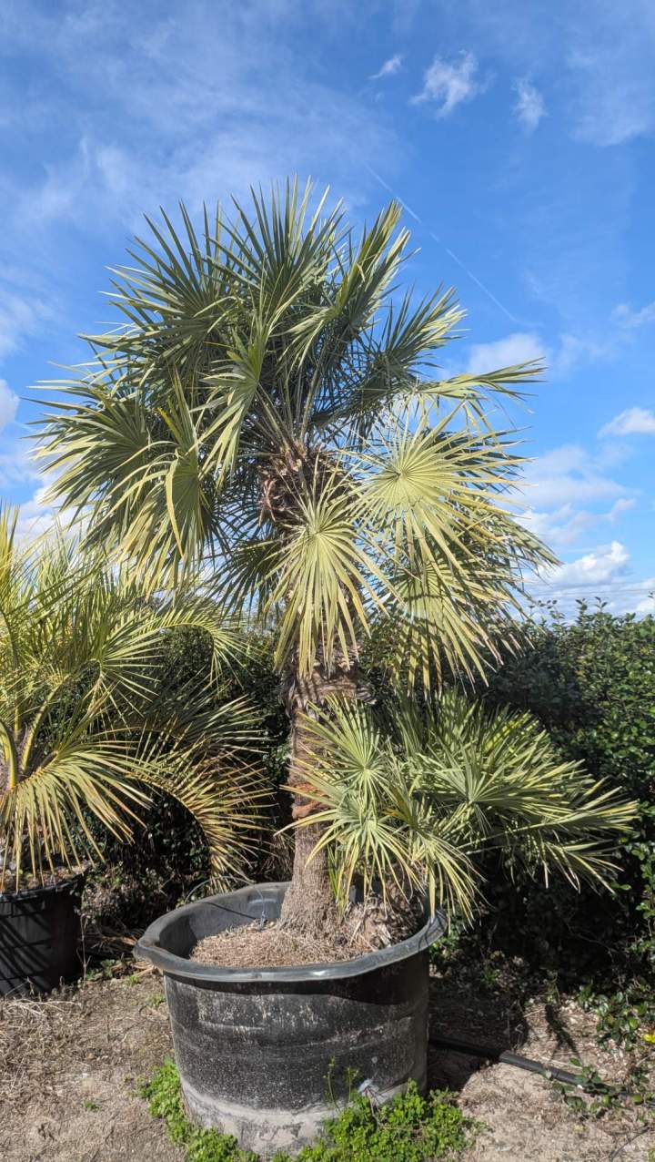 PXL 20260109 172203369