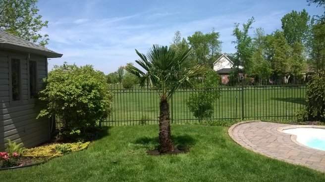 Aménagements tropicaux – Grand Montréal