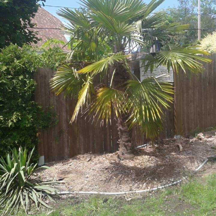 Aménagement jardins tropicaux Grand Montréal