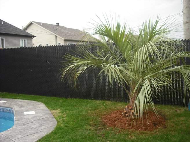 Aménagements tropicaux – Grand Montréal