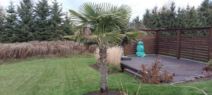 Aménagements tropicaux – Grand Montréal