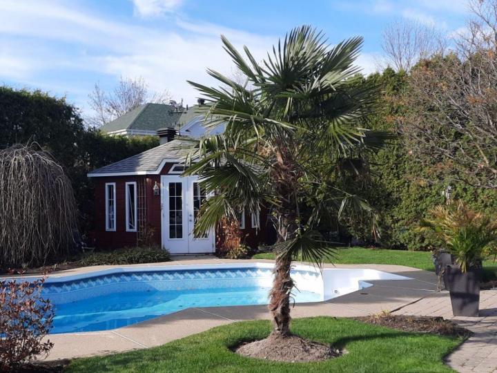 Vente de palmiers Grand Montréal