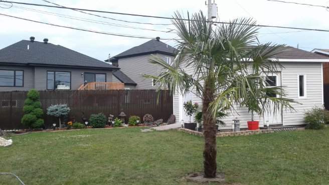 Aménagements tropicaux – Grand Montréal