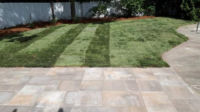 Plates-bandes et gazon – Grand Montréal