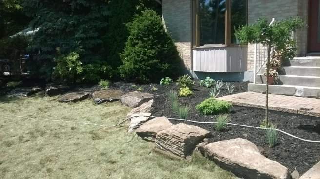 Plates-bandes et gazon – Grand Montréal