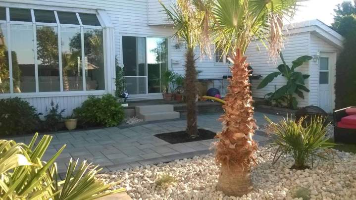 Aménagements tropicaux – Grand Montréal