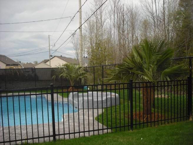 Aménagements tropicaux – Grand Montréal