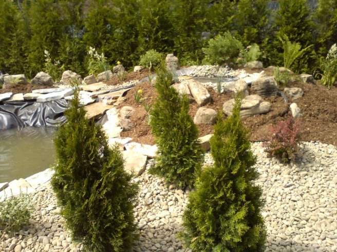 Plates-bandes et gazon – Grand Montréal